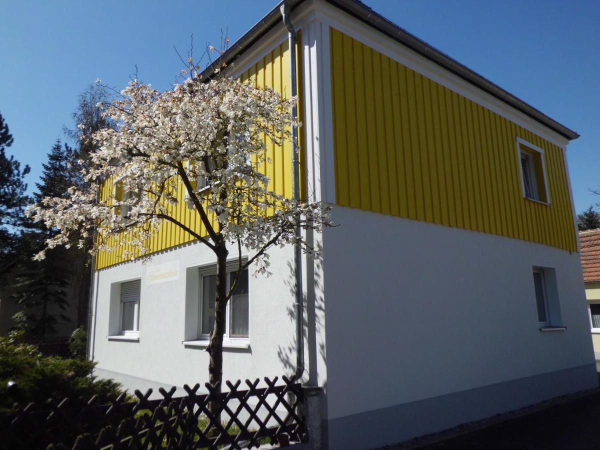 Ferienwohnung Im Haus Sonnenschein Beim Senftenberger See Hosena Exterior foto